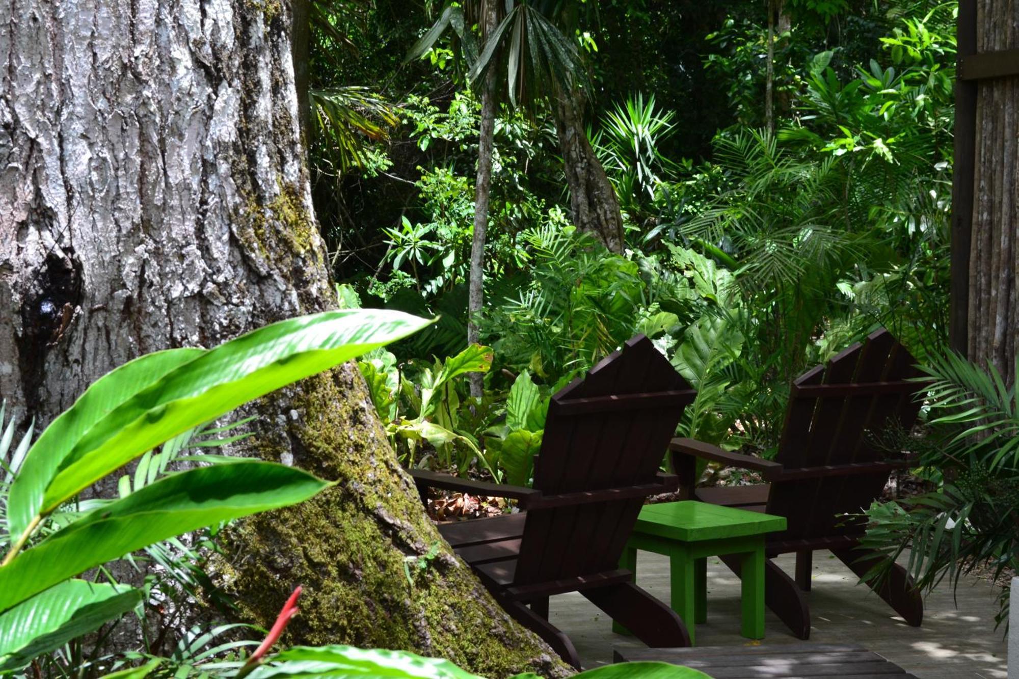 Hotel Jungle Lodge تيكال الغرفة الصورة