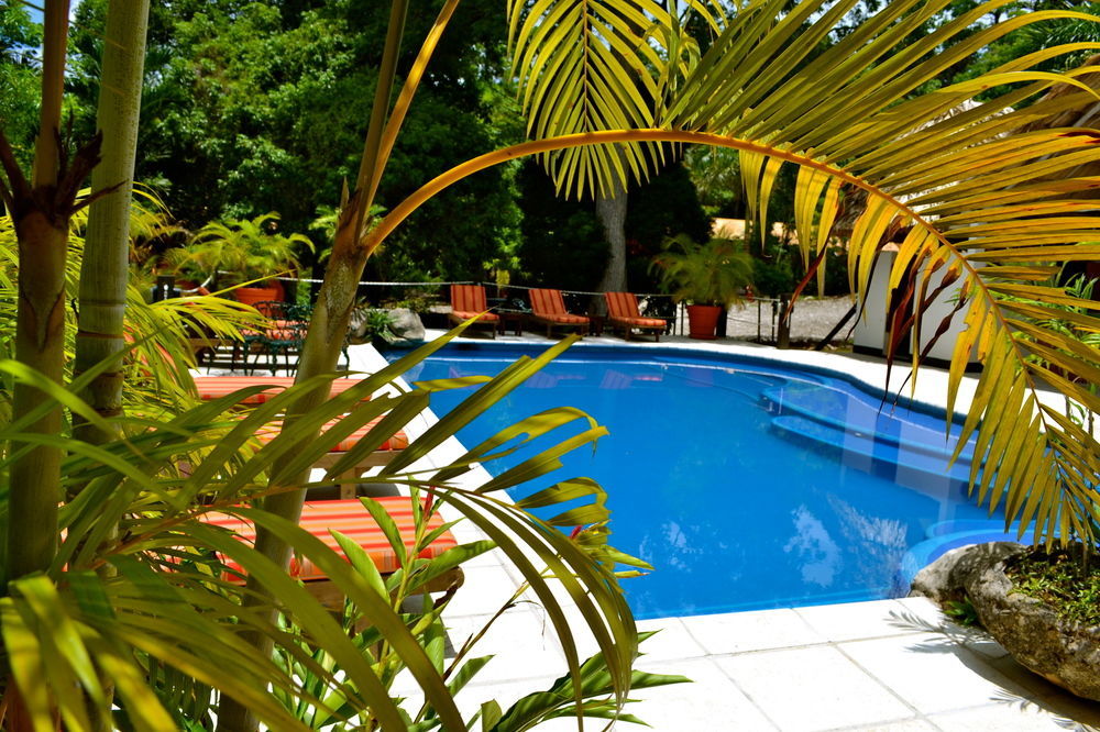Hotel Jungle Lodge تيكال المظهر الخارجي الصورة