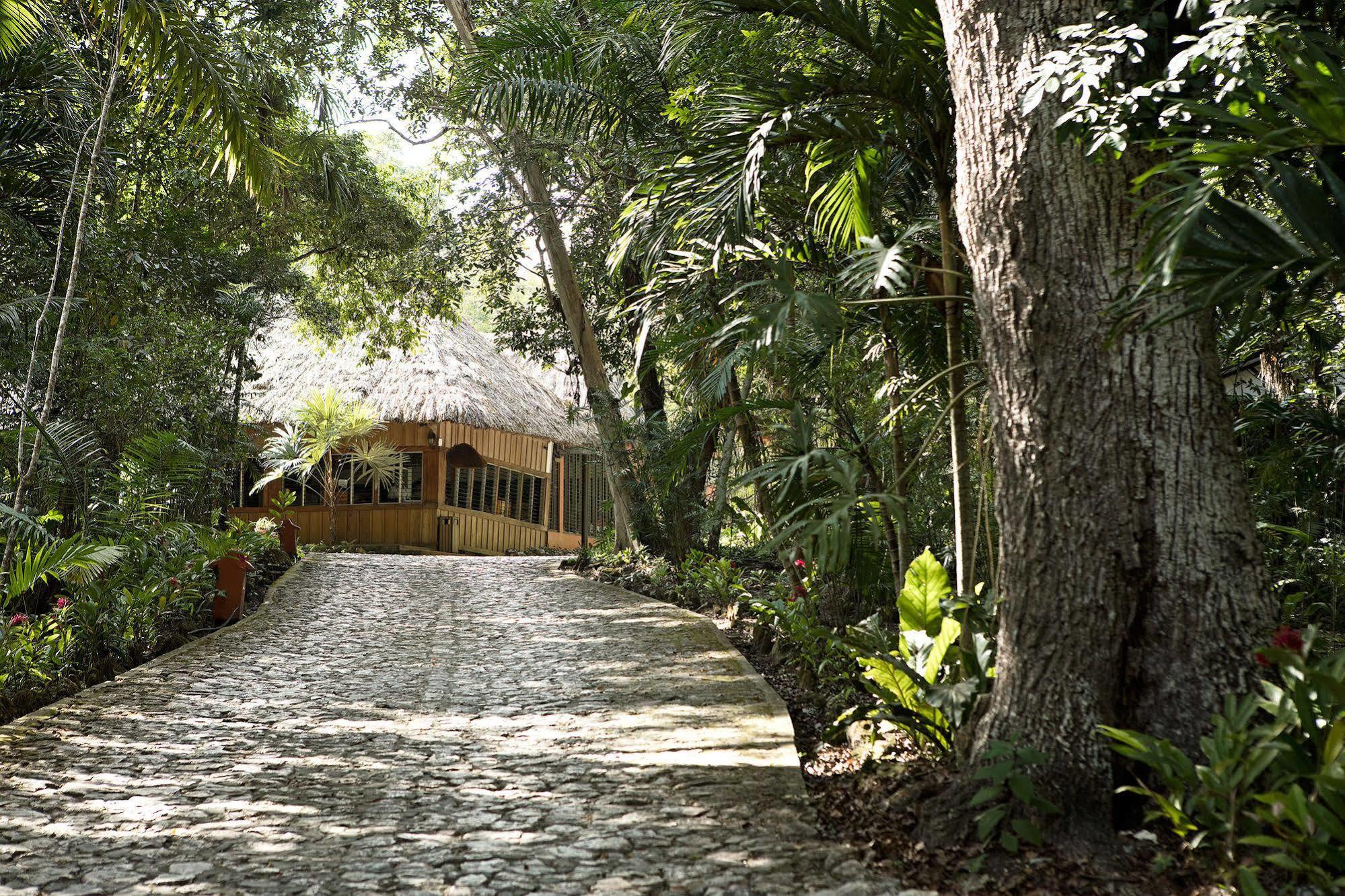 Hotel Jungle Lodge تيكال المظهر الخارجي الصورة