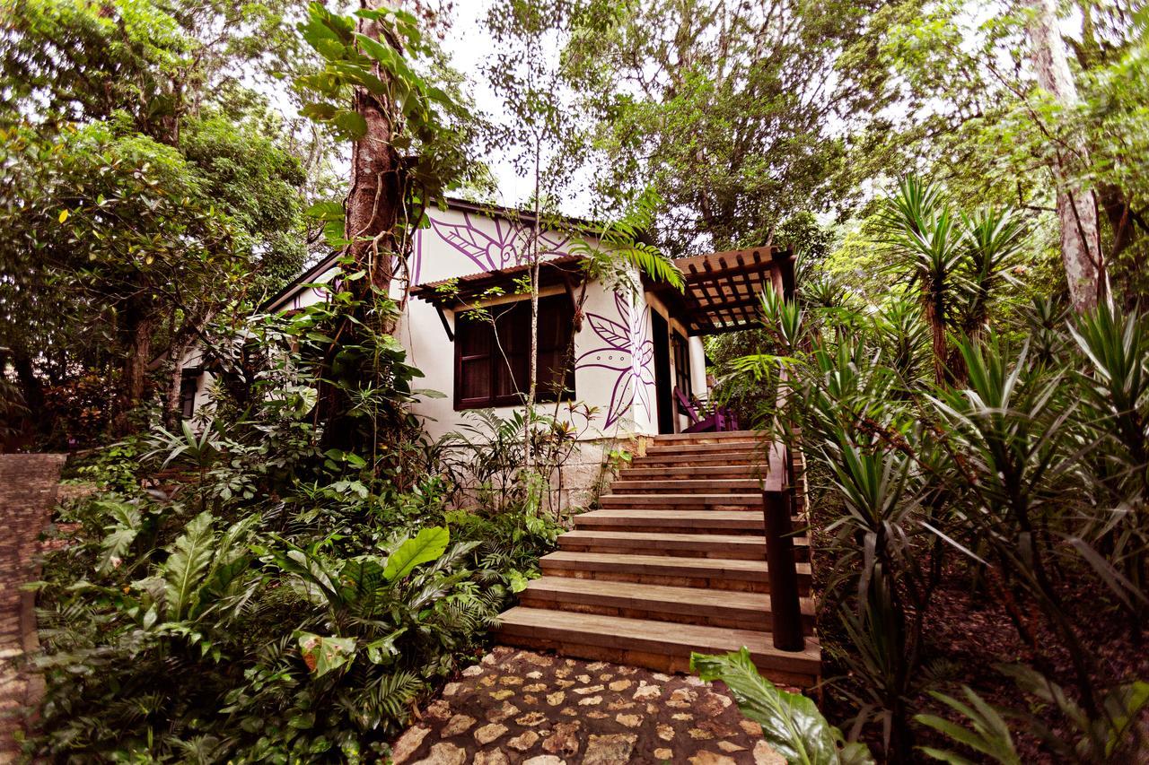 Hotel Jungle Lodge تيكال المظهر الخارجي الصورة